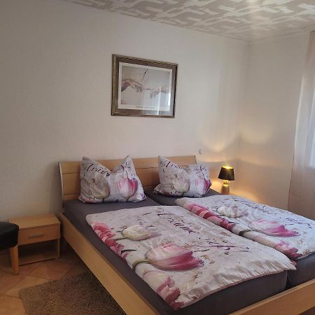 Ferienwohnung Jasmin In Schoenau Bei Heidelberg Fewo 2 舍瑙 外观 照片