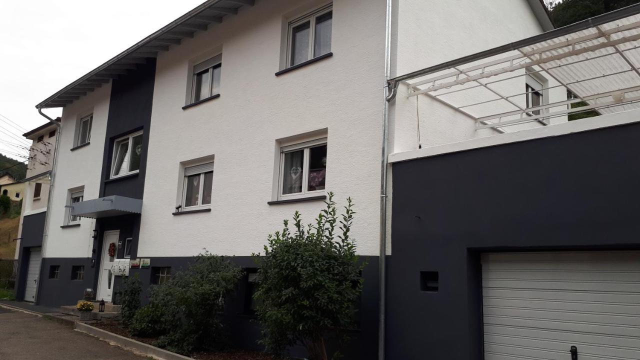 Ferienwohnung Jasmin In Schoenau Bei Heidelberg Fewo 2 舍瑙 外观 照片